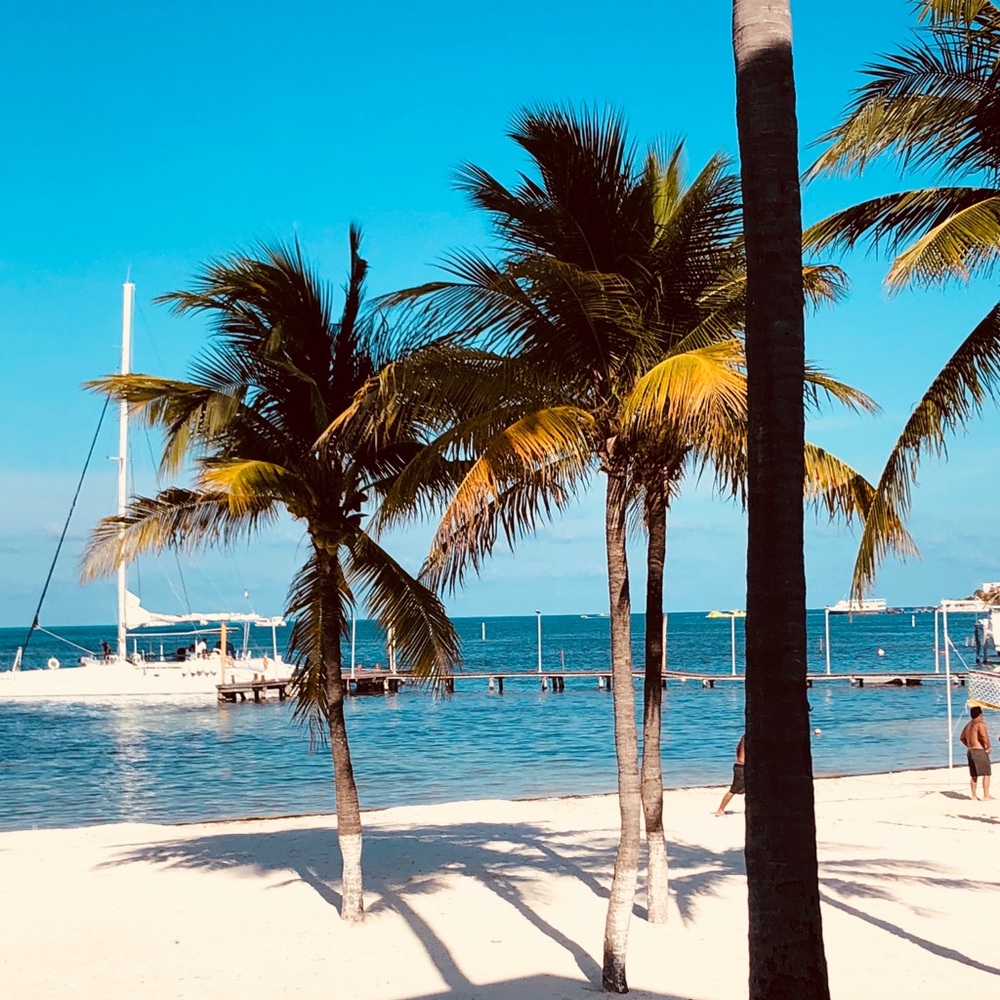 Meet your Posher, Angel